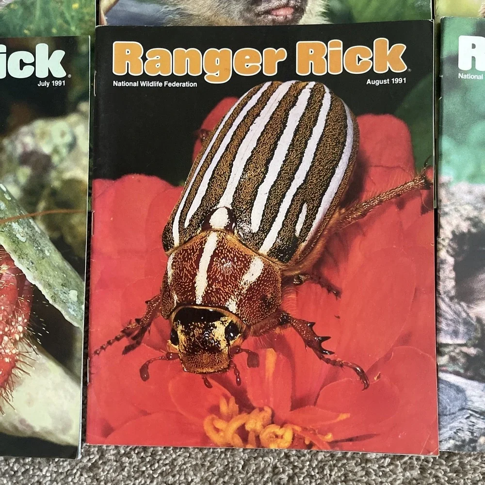 Ranger Rick's Nature Magazine 1991 National Wildlife Kids Vtg Lot Of 12 Complete